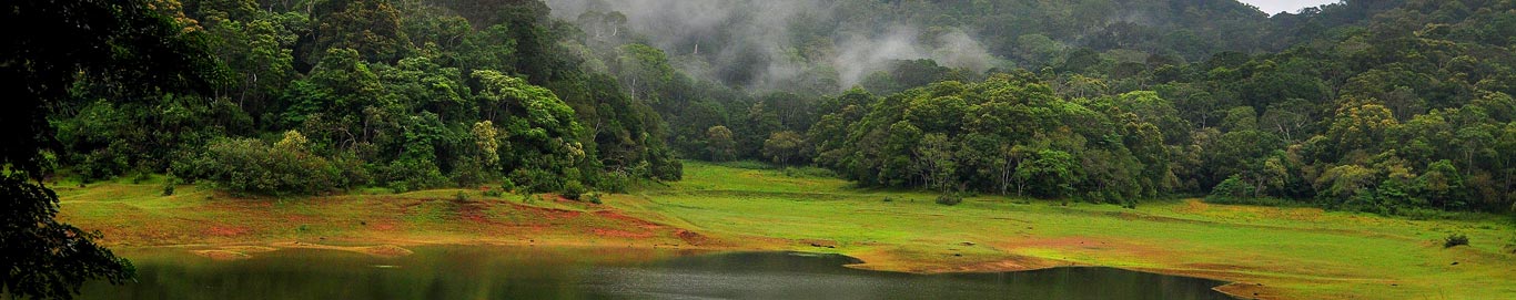 Honeymoon packages to thekkady 